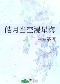 皓月當空浸星海